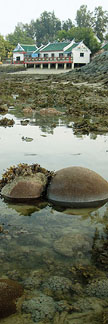 view of the reefs of Kusu