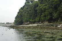 view of labrador shore