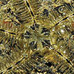 brittle star