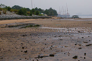 view of sembawang sand flats
