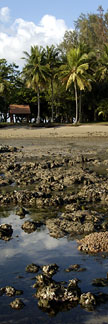 view of the reefs of Sisters