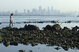 reefs by the city: view from St. John's Island