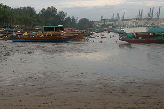 view of west coast mudflat