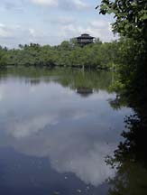 sungei buloh wetland reserve