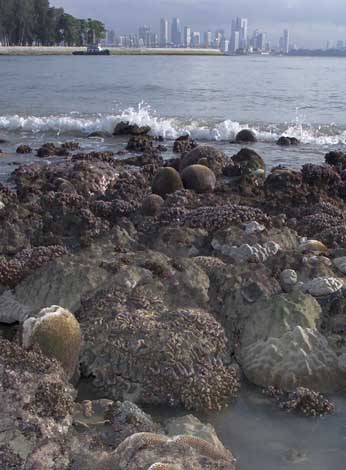 living shores with natural cliffs