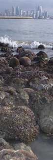 kusu reefs, minutes from the city centre