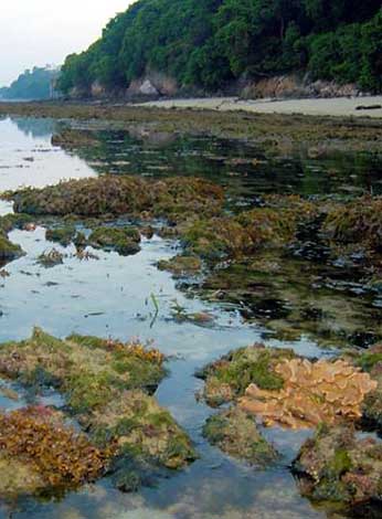 living shores with natural cliffs