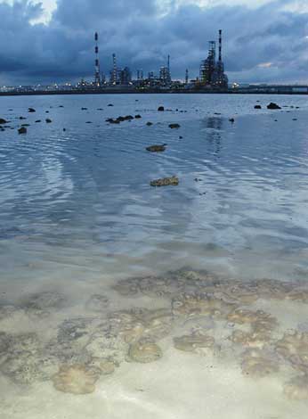 view towards pulau bukom