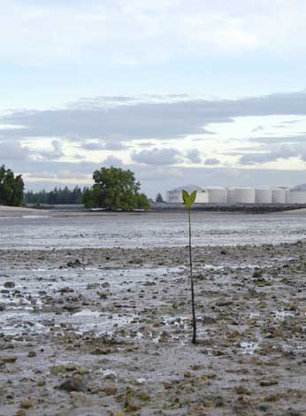 view towards pulau busing