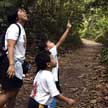 MacRitchie forest tour