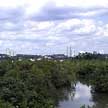 view from Aerie Hide