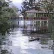 mangrove boardwalk