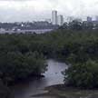 view from Aerie Hide