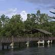 Tranquil mangroves and  wetlands