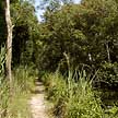 kranji nature trail