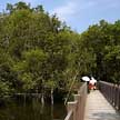 kranji nature trail