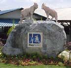 goat farm