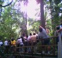 MacRitchie forest tour