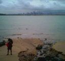 city skyline from St Johns Island