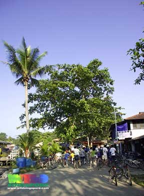 Photograph