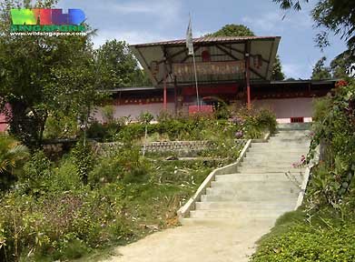 Photograph